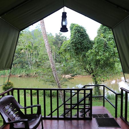 360 Rainforest Deniyaya Exterior photo