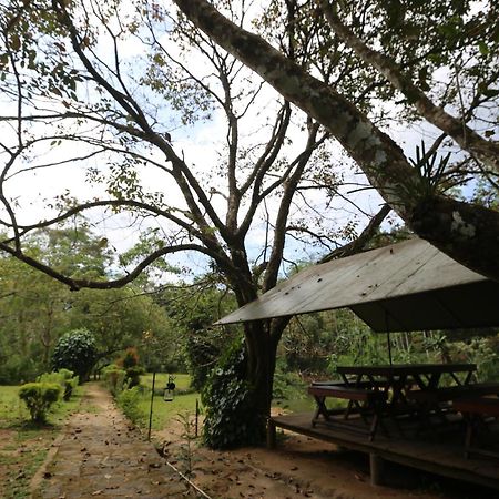 360 Rainforest Deniyaya Exterior photo