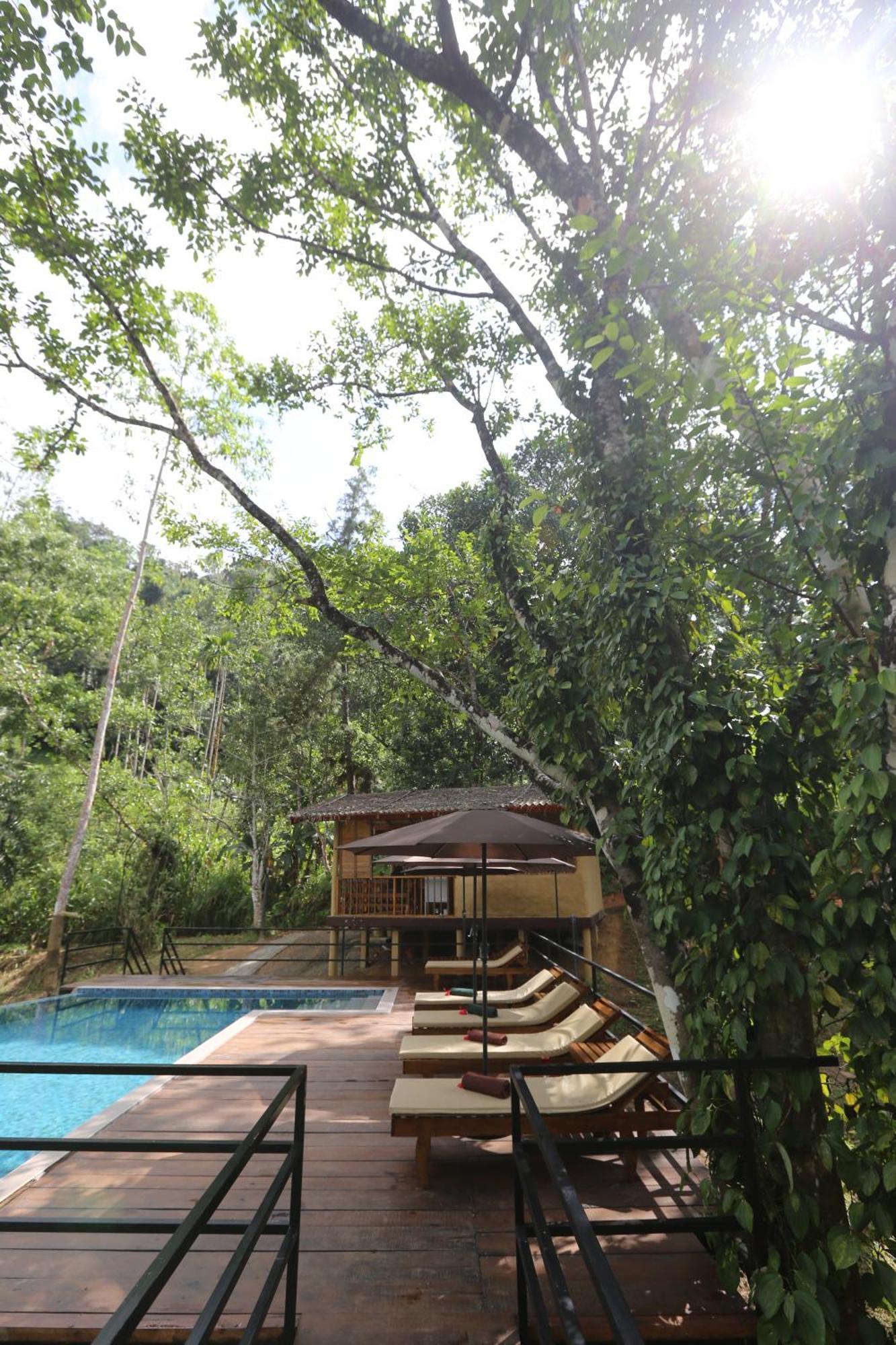 360 Rainforest Deniyaya Exterior photo