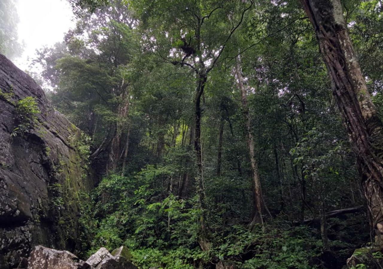 360 Rainforest Deniyaya Exterior photo