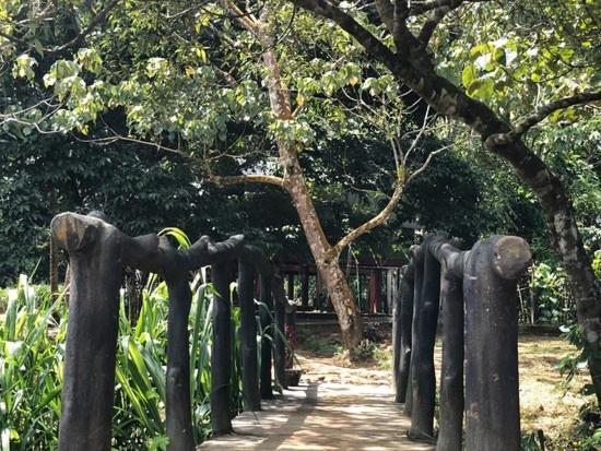 360 Rainforest Deniyaya Exterior photo