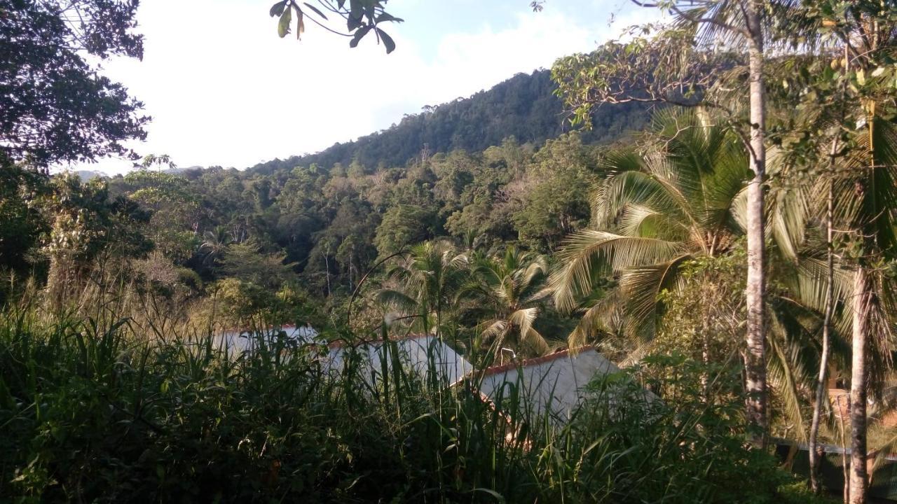 360 Rainforest Deniyaya Exterior photo